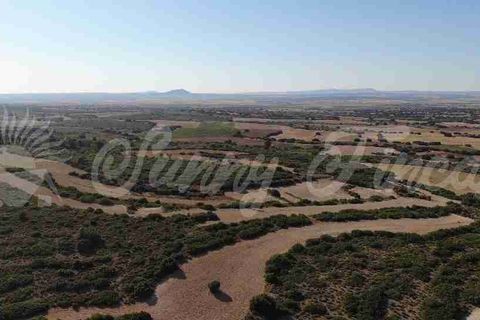 Farm hus i Almansa, Albacete, Almansa - € 560.000 | Ref: SF0516 - foto 6